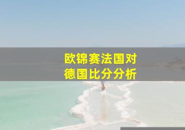 欧锦赛法国对德国比分分析