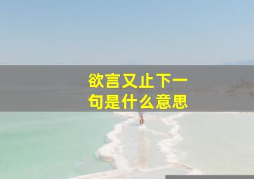 欲言又止下一句是什么意思