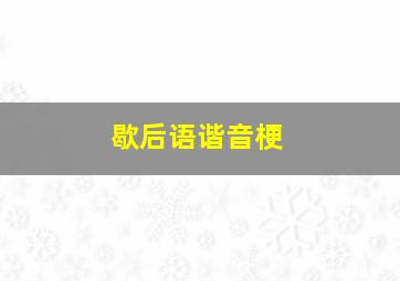 歇后语谐音梗