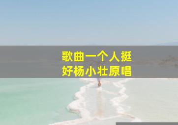 歌曲一个人挺好杨小壮原唱