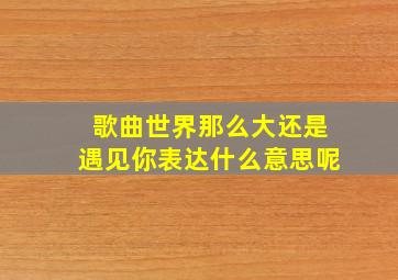 歌曲世界那么大还是遇见你表达什么意思呢