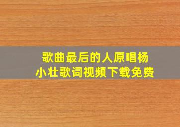 歌曲最后的人原唱杨小壮歌词视频下载免费