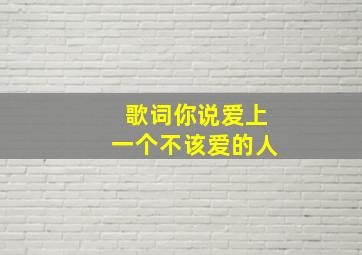 歌词你说爱上一个不该爱的人