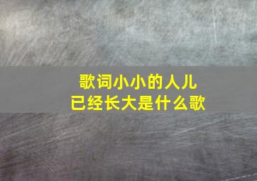 歌词小小的人儿已经长大是什么歌