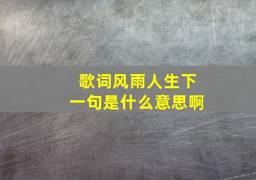 歌词风雨人生下一句是什么意思啊