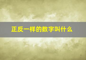 正反一样的数字叫什么