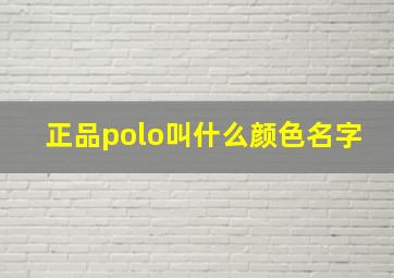 正品polo叫什么颜色名字