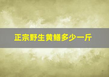 正宗野生黄鳝多少一斤