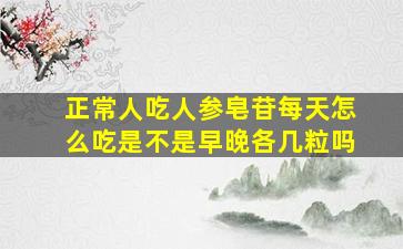 正常人吃人参皂苷每天怎么吃是不是早晚各几粒吗