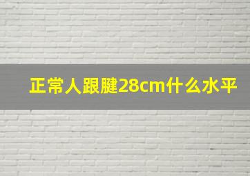 正常人跟腱28cm什么水平