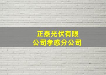 正泰光伏有限公司孝感分公司