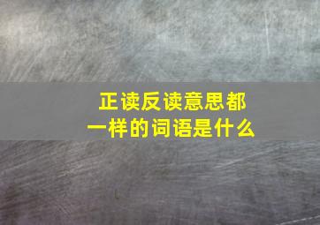 正读反读意思都一样的词语是什么