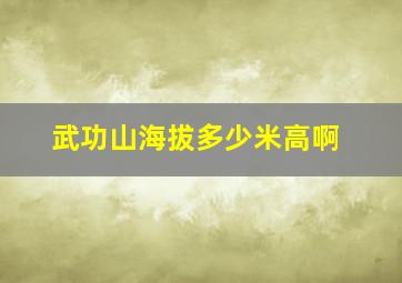 武功山海拔多少米高啊