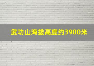 武功山海拔高度约3900米