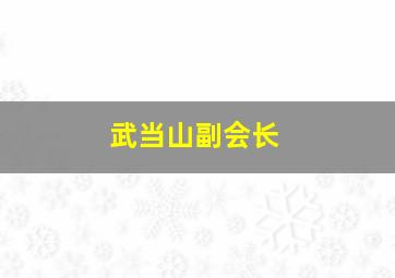 武当山副会长