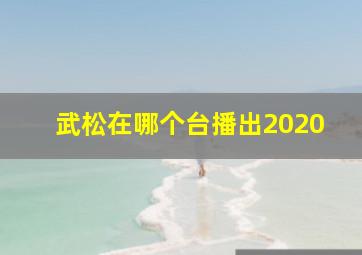 武松在哪个台播出2020