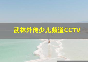 武林外传少儿频道CCTV