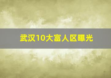 武汉10大富人区曝光