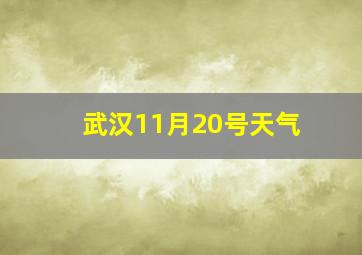 武汉11月20号天气