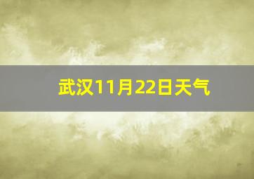 武汉11月22日天气