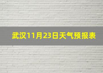 武汉11月23日天气预报表