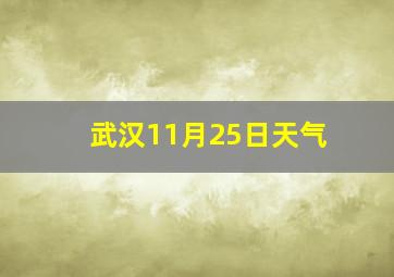 武汉11月25日天气