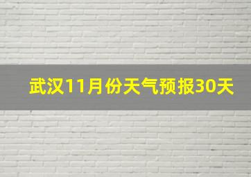 武汉11月份天气预报30天