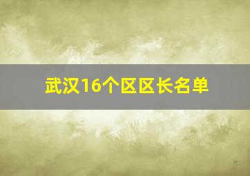 武汉16个区区长名单