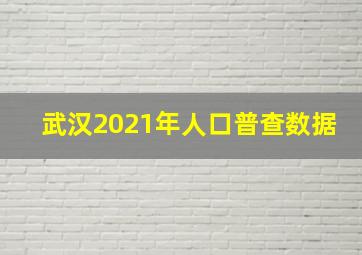 武汉2021年人口普查数据