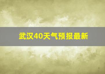 武汉40天气预报最新