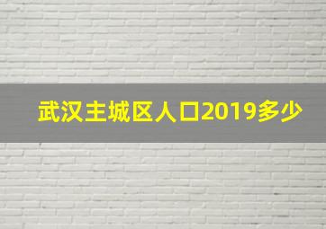 武汉主城区人口2019多少