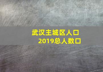 武汉主城区人口2019总人数口