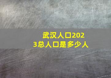 武汉人口2023总人口是多少人