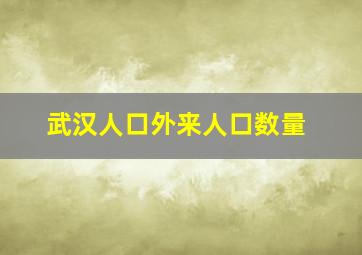 武汉人口外来人口数量