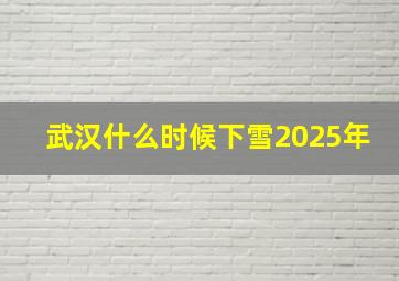 武汉什么时候下雪2025年