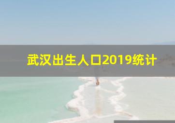 武汉出生人口2019统计