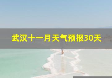 武汉十一月天气预报30天