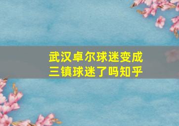 武汉卓尔球迷变成三镇球迷了吗知乎