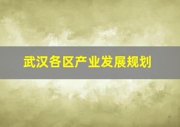 武汉各区产业发展规划