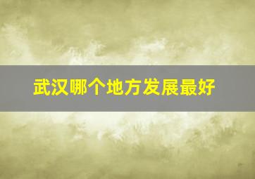 武汉哪个地方发展最好