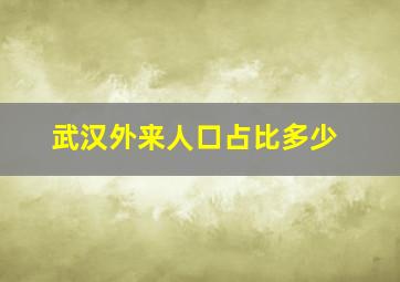 武汉外来人口占比多少