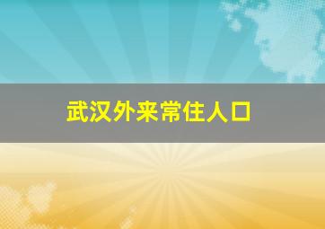 武汉外来常住人口