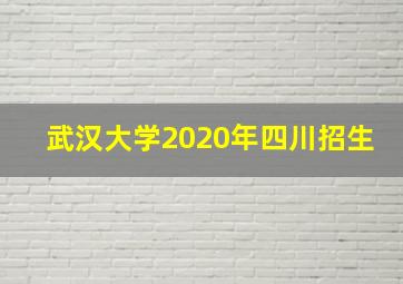 武汉大学2020年四川招生