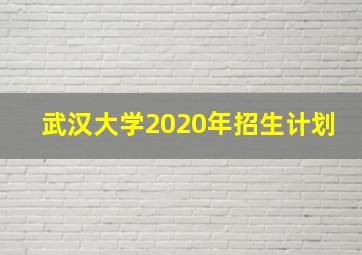 武汉大学2020年招生计划