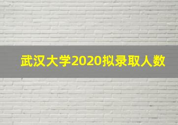 武汉大学2020拟录取人数