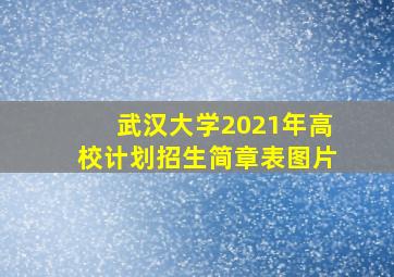 武汉大学2021年高校计划招生简章表图片