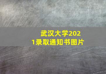 武汉大学2021录取通知书图片