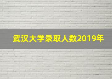 武汉大学录取人数2019年