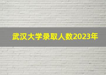 武汉大学录取人数2023年