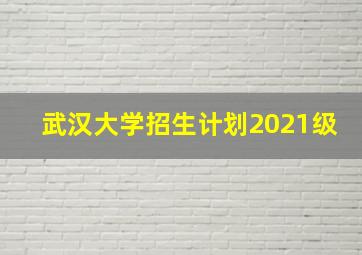 武汉大学招生计划2021级